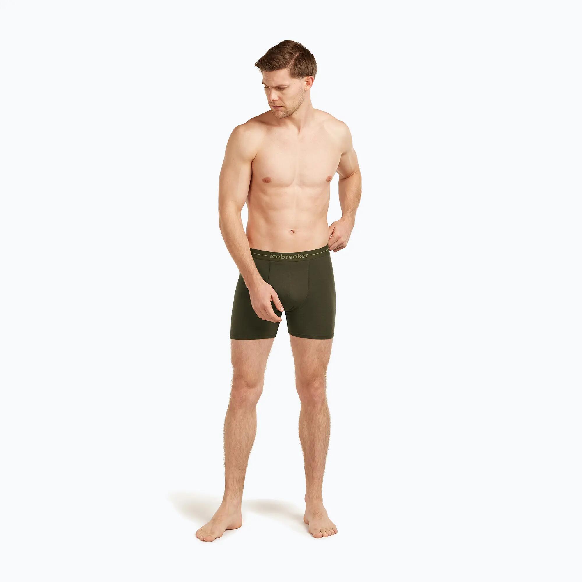 Boxer termoattivi da uomo icebreaker Anatomica 6/7