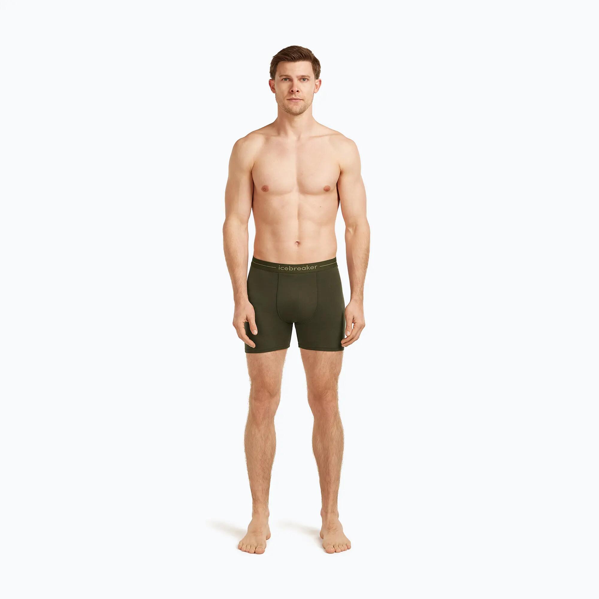 Boxer termoattivi da uomo icebreaker Anatomica 3/7