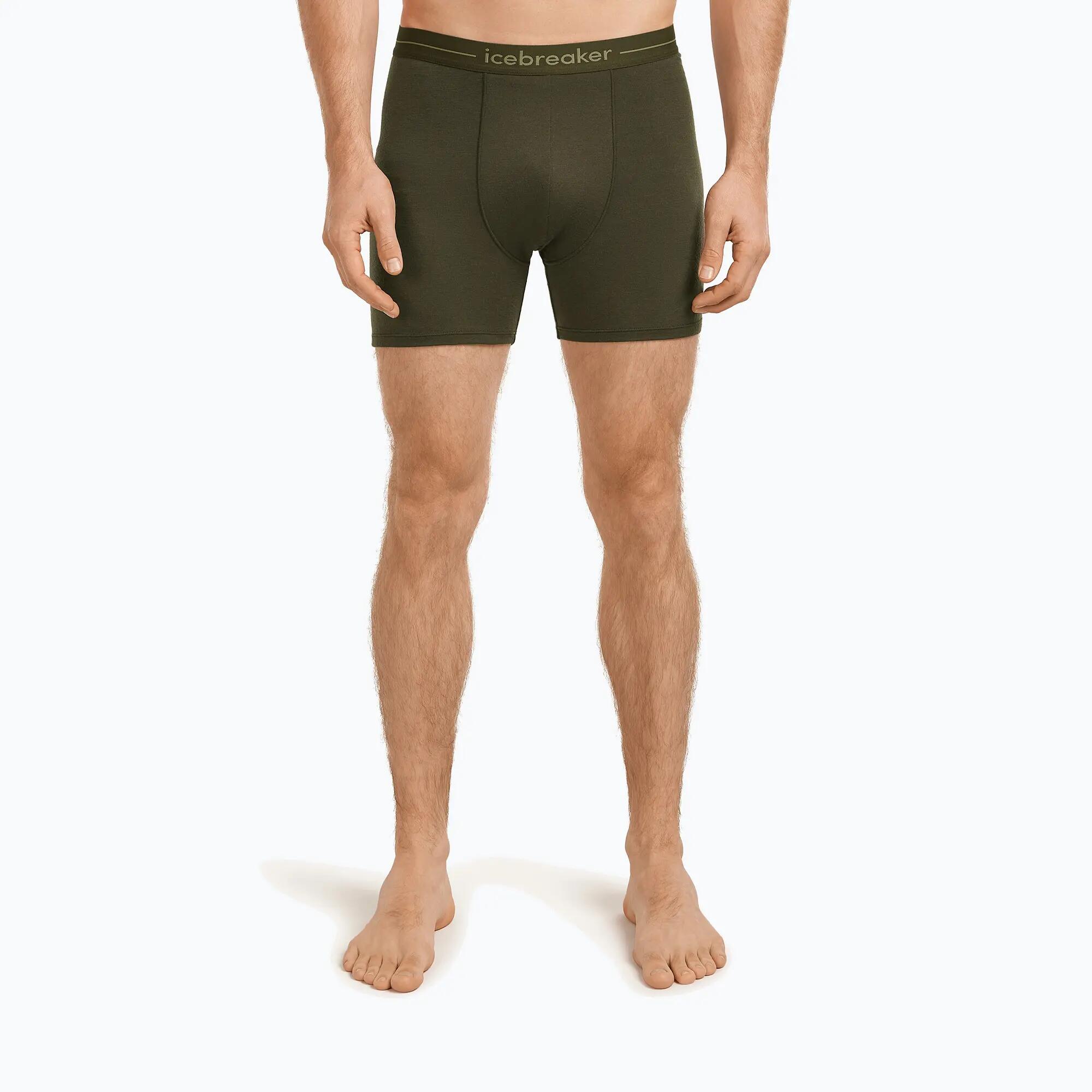 Boxer termoattivi da uomo icebreaker Anatomica 2/7