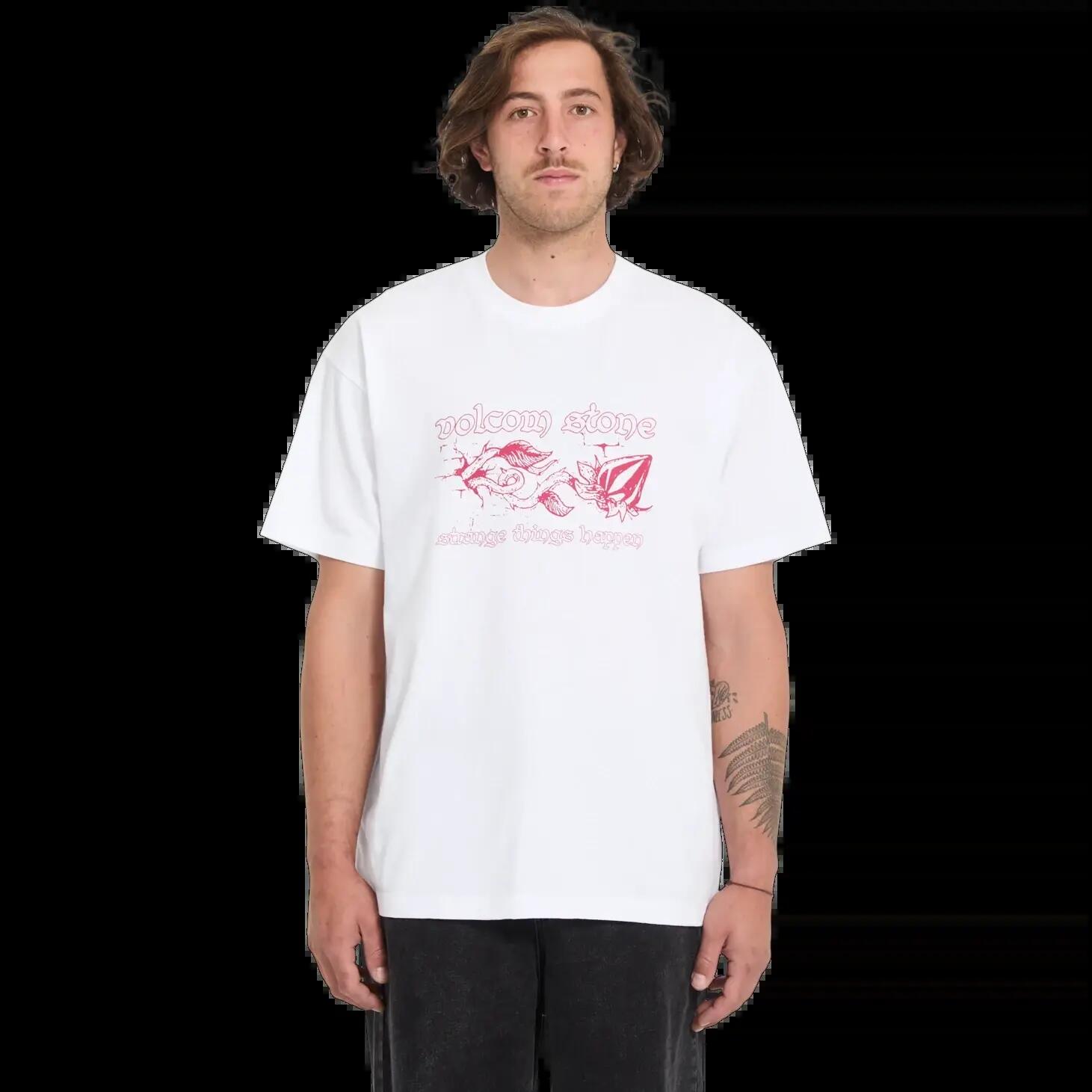VOLCOM picture