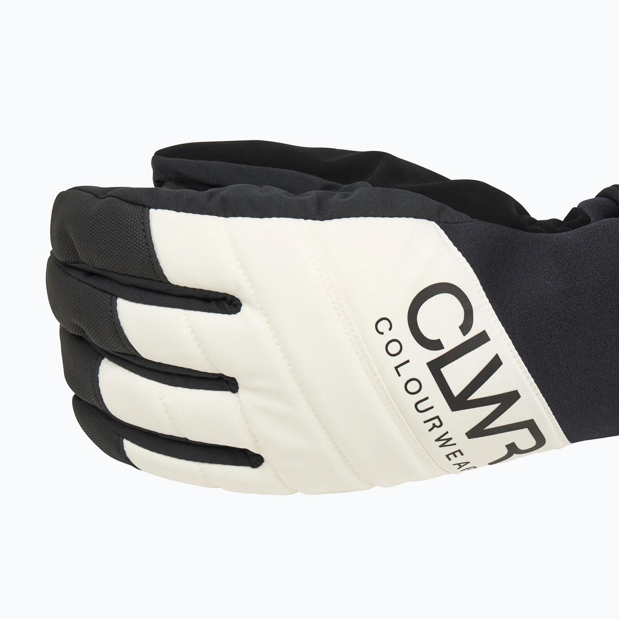 Guanti da snowboard Colourwear Powder Glove 4/7