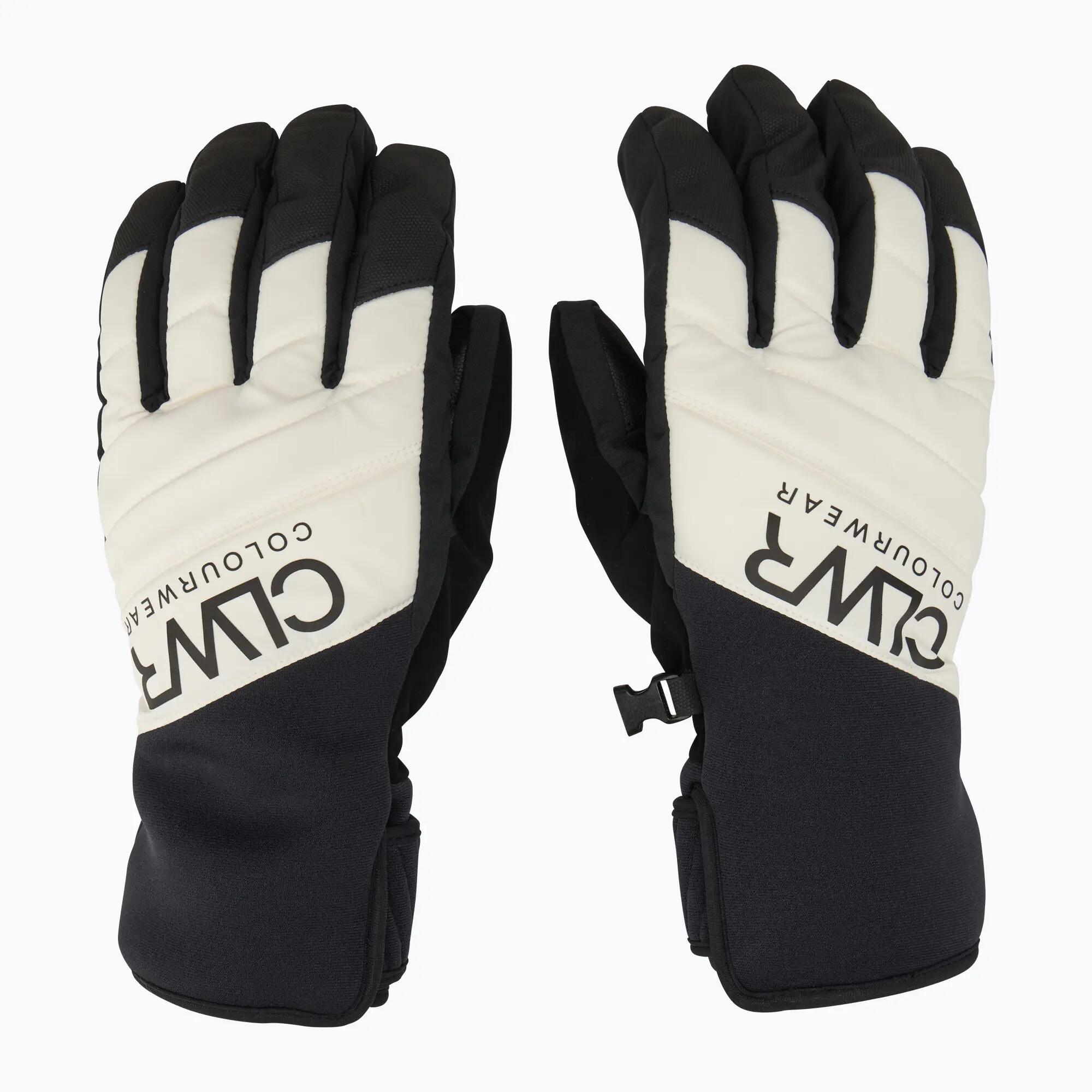 Guanti da snowboard Colourwear Powder Glove 2/7
