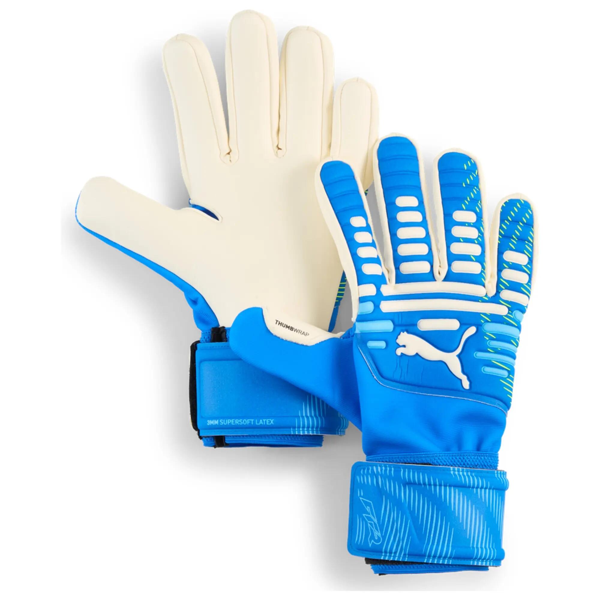 PUMA picture