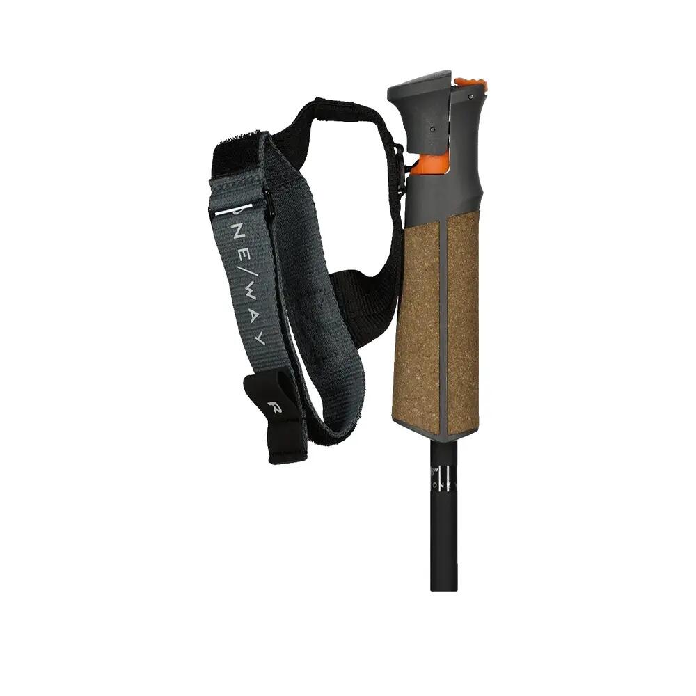 Ski stokken Fischer GT 11 Carbon Mag Bruin 5/5