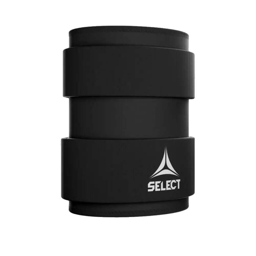SELECT picture