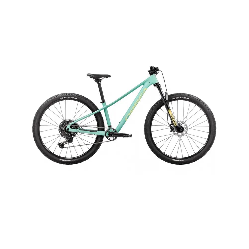 ORBEA picture