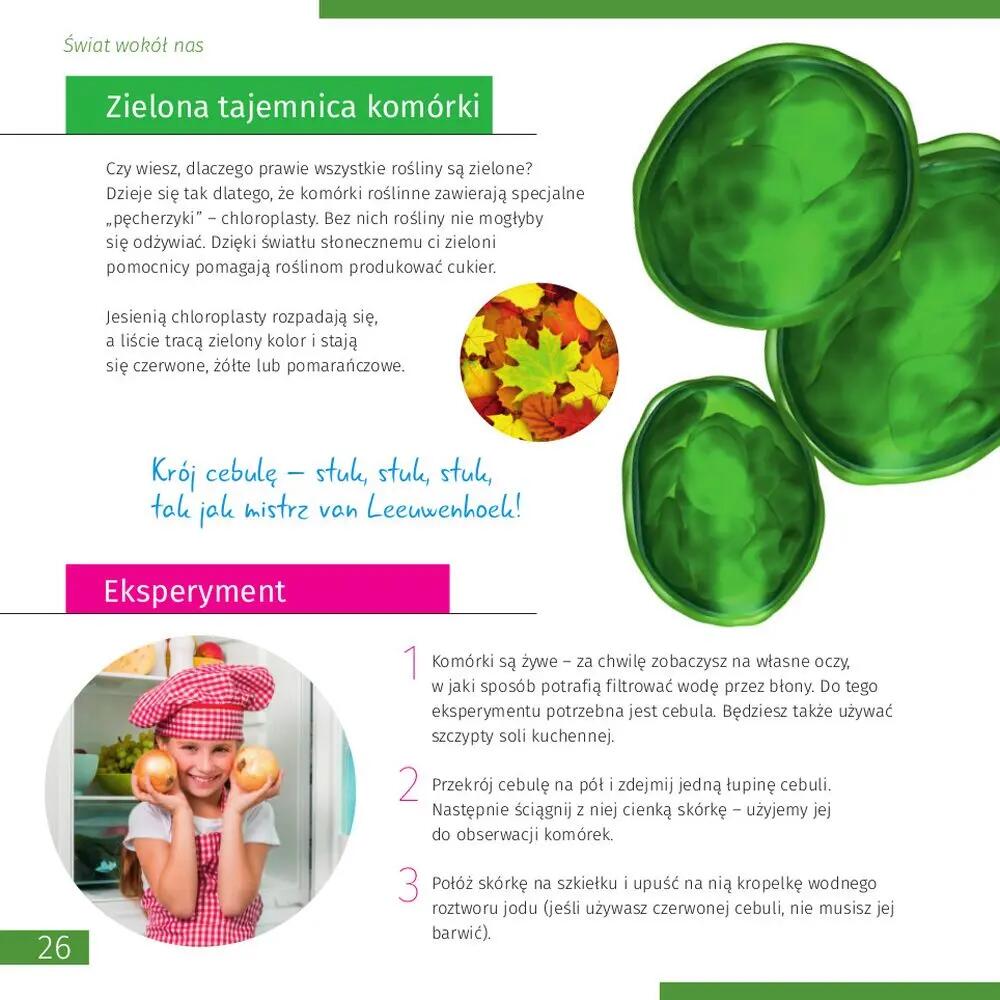 Mikroskop Levenhuk Discovery Micro Solar z książką w języku polskim 7/15