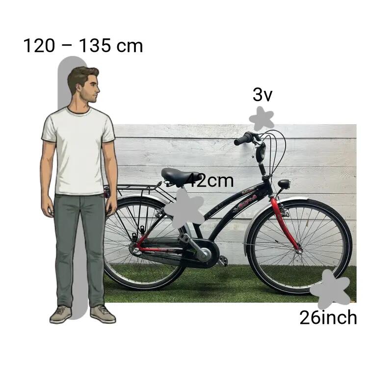Bicicletta usata Batavus Dragon 2/4
