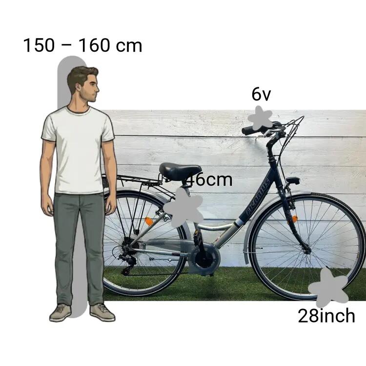 Vélo d’occasion Ficarius Trekking 2/4