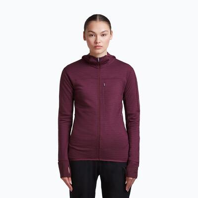 Icebreaker merino 300 realfleece descender zip hoodie trekkingvest voor dames