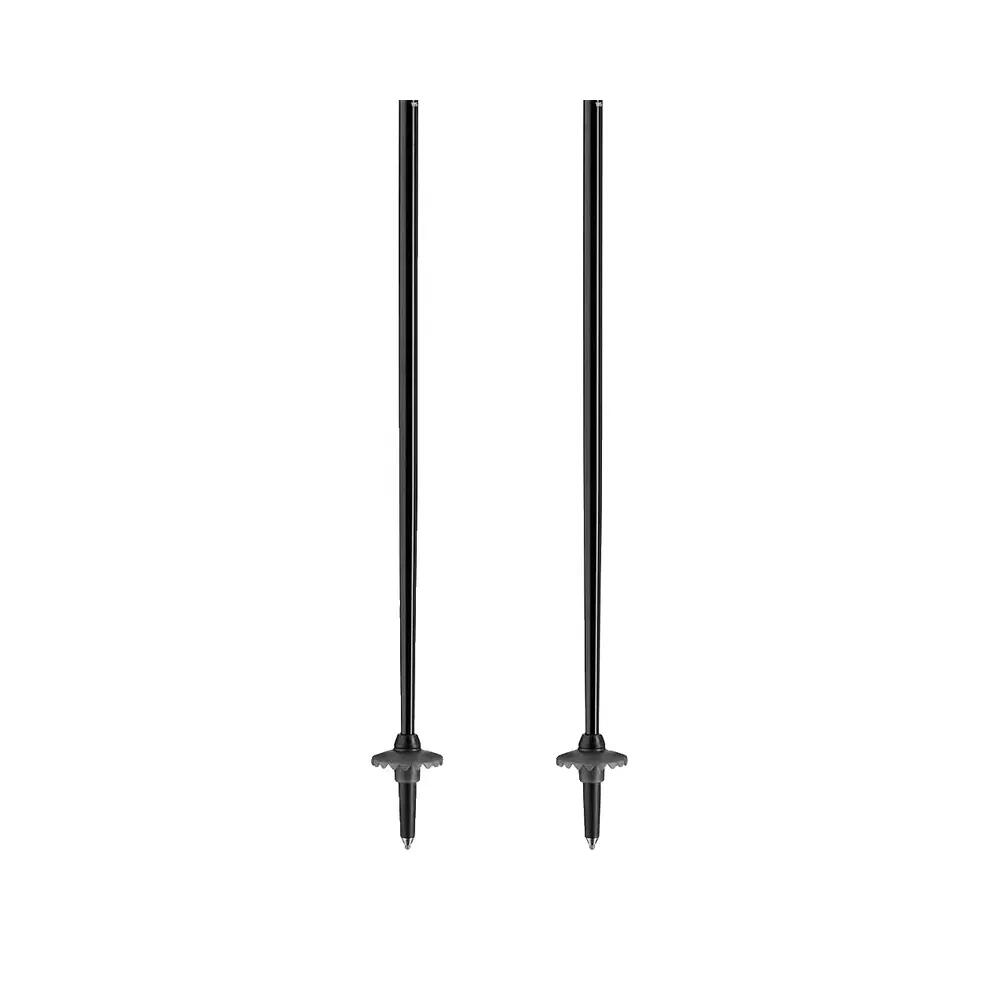 Bâtons de ski Leki Elite 4/9