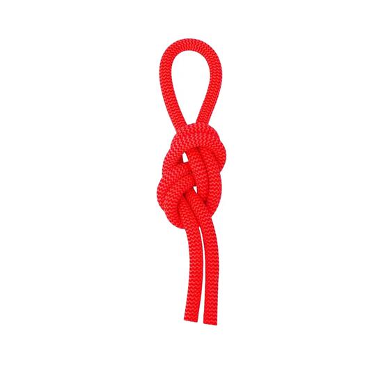 Corde Salewa 9.6 mm Rouge Dry Tech