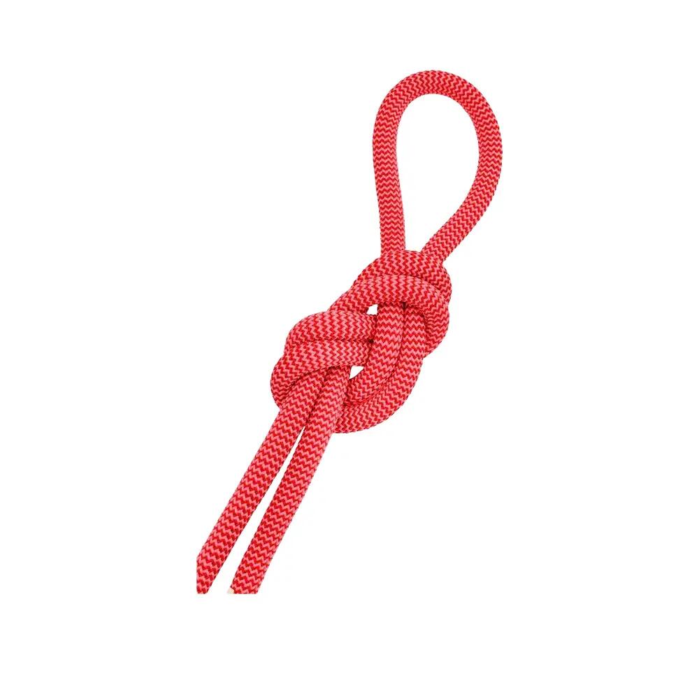 Corde Salewa 9.6 mm Rouge Dry Tech 2/3