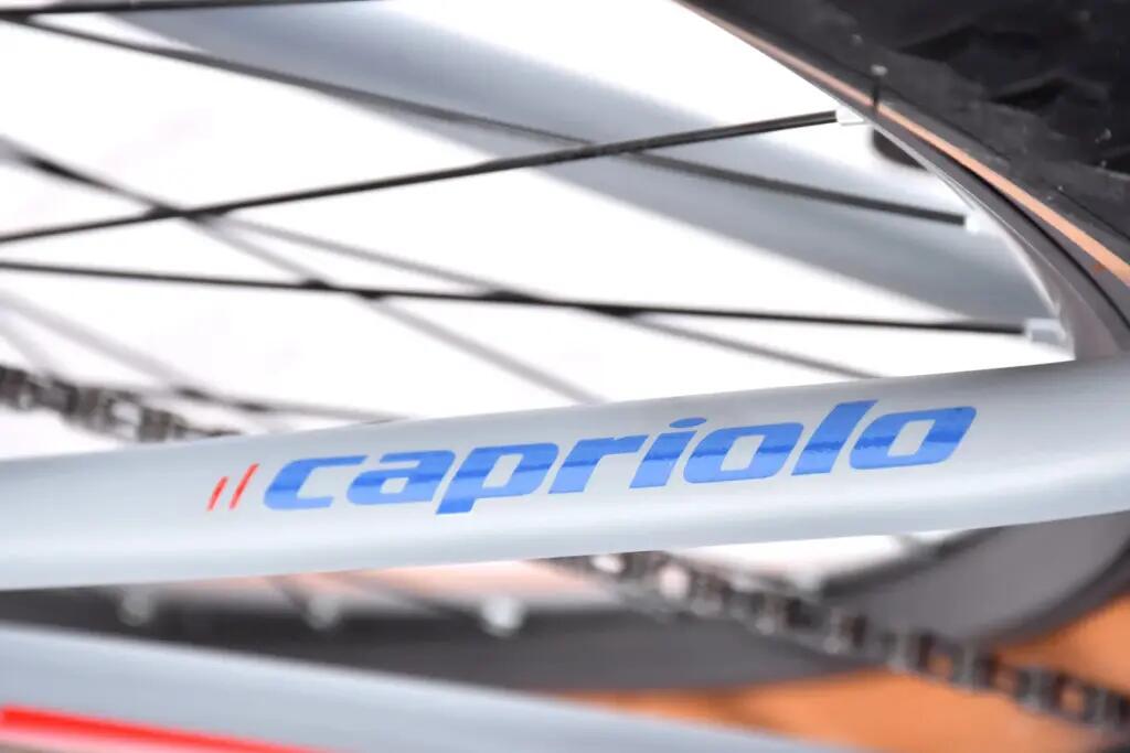 Capriolo MTB LC 29-3 29er kerékpár 21" Szürke 8/10