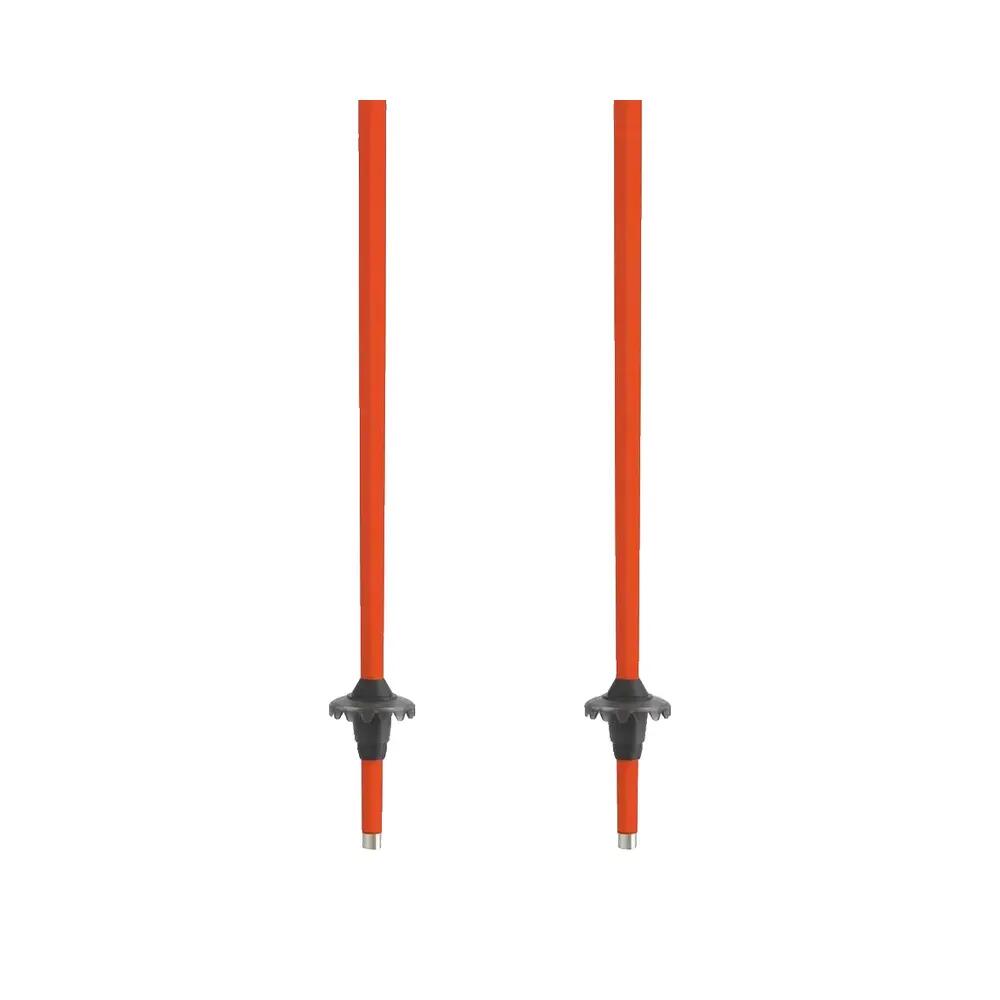 Bâtons de ski Atomic Redster Junior Różowy 4/9