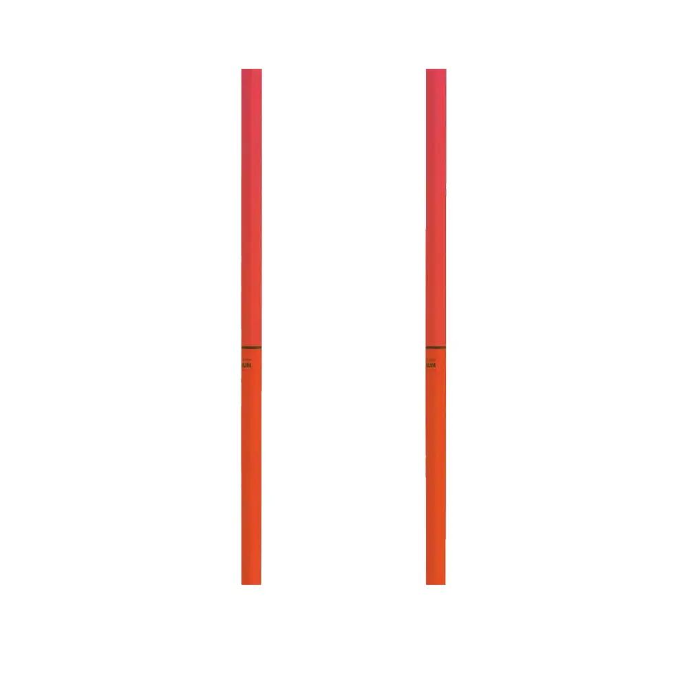 Bâtons de ski Atomic Redster Junior Różowy 3/9