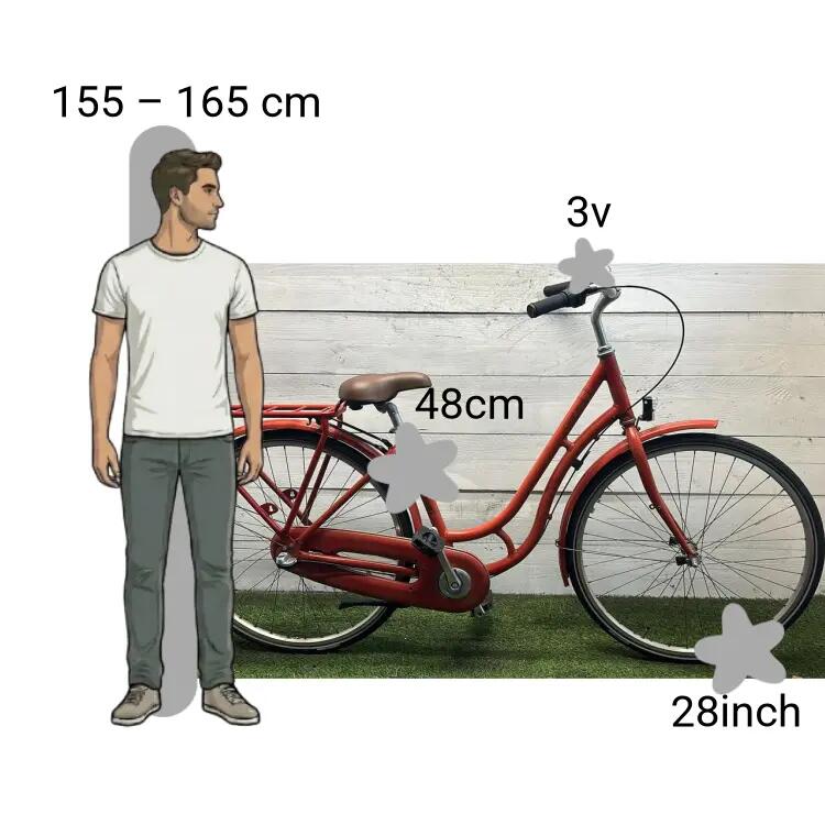 Vélo d’occasion Trek Copenhagen 2/4