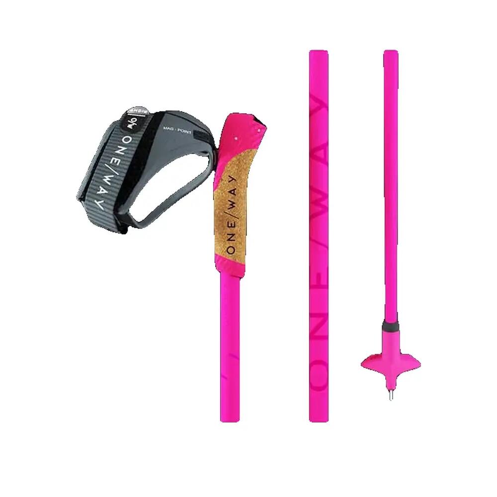 Bâtons de ski Fischer Storm GTX 6/6