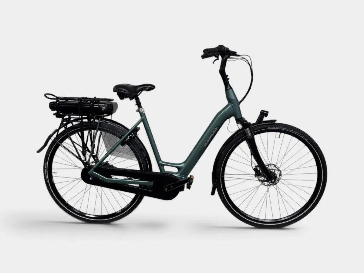 BATAVUS picture