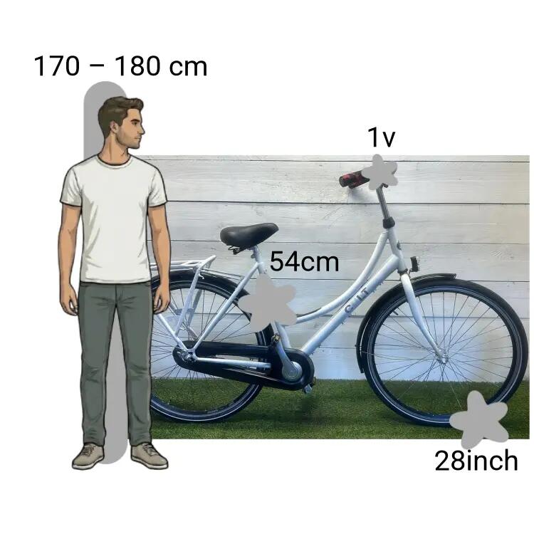 Gebraucht Puch Cult 2/4