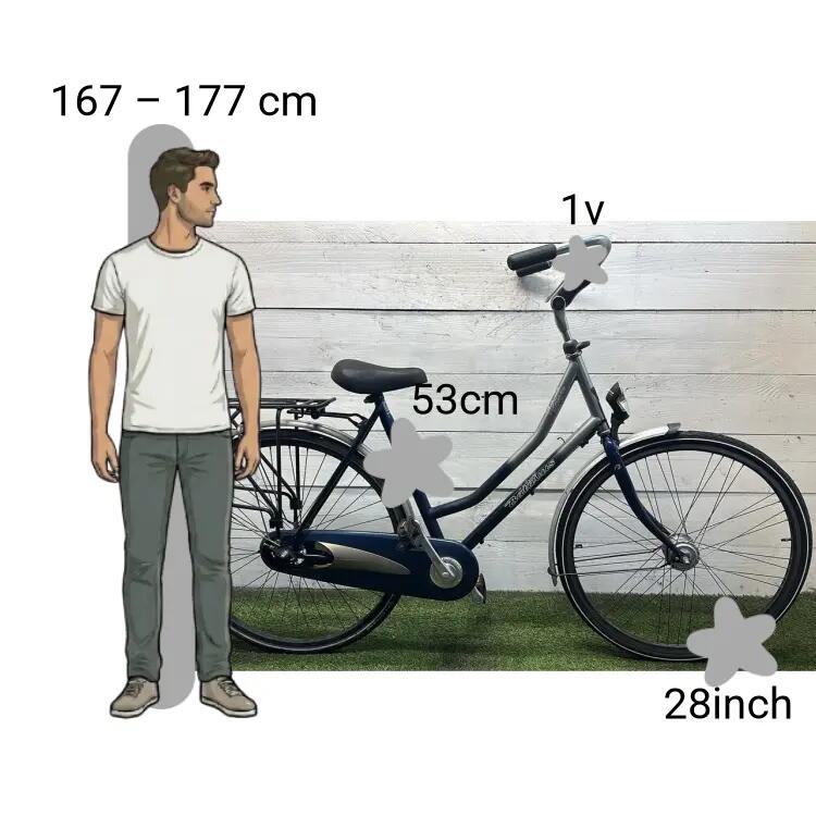 Vélo d’occasion Batavus Ancona 2/4