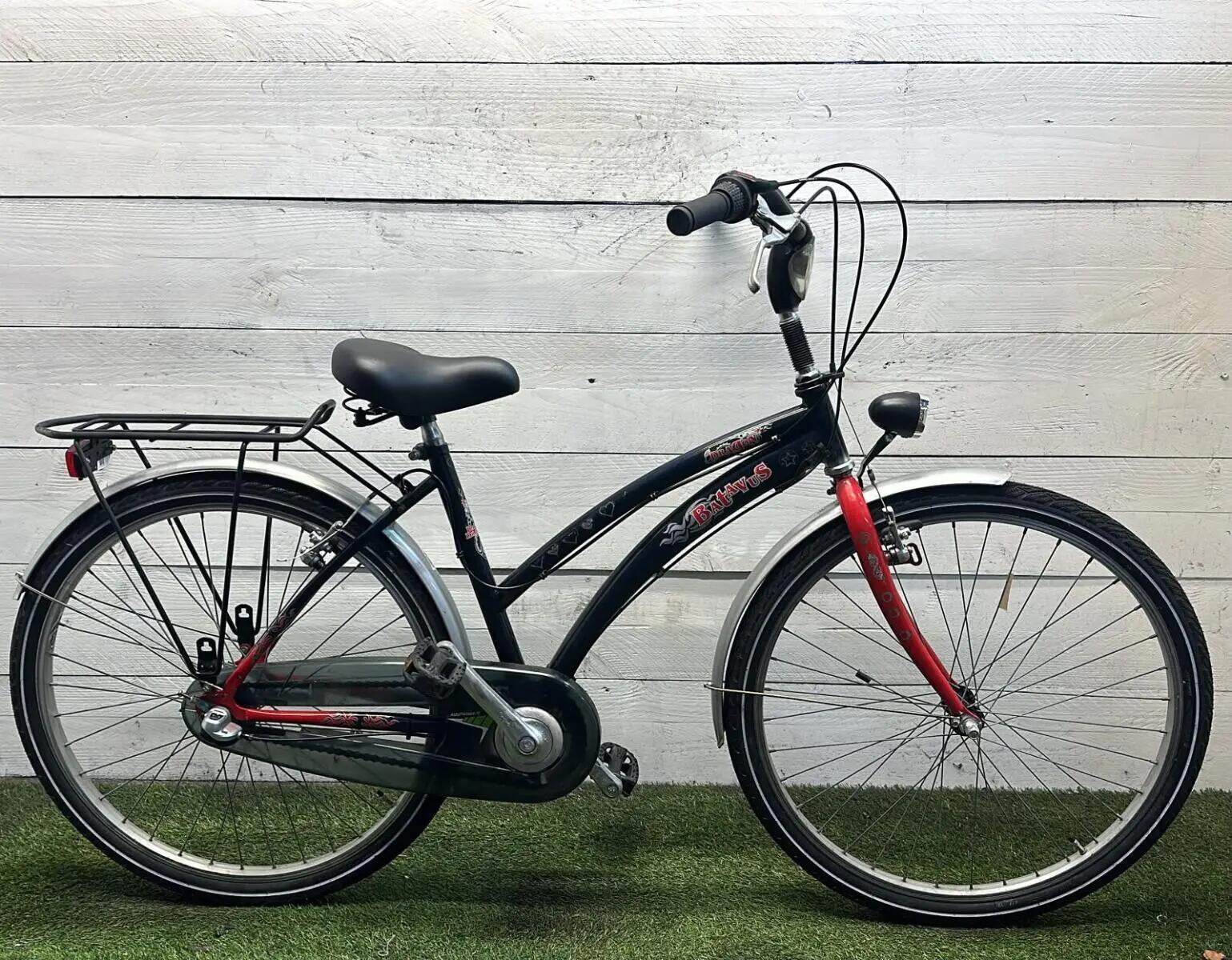 BATAVUS picture