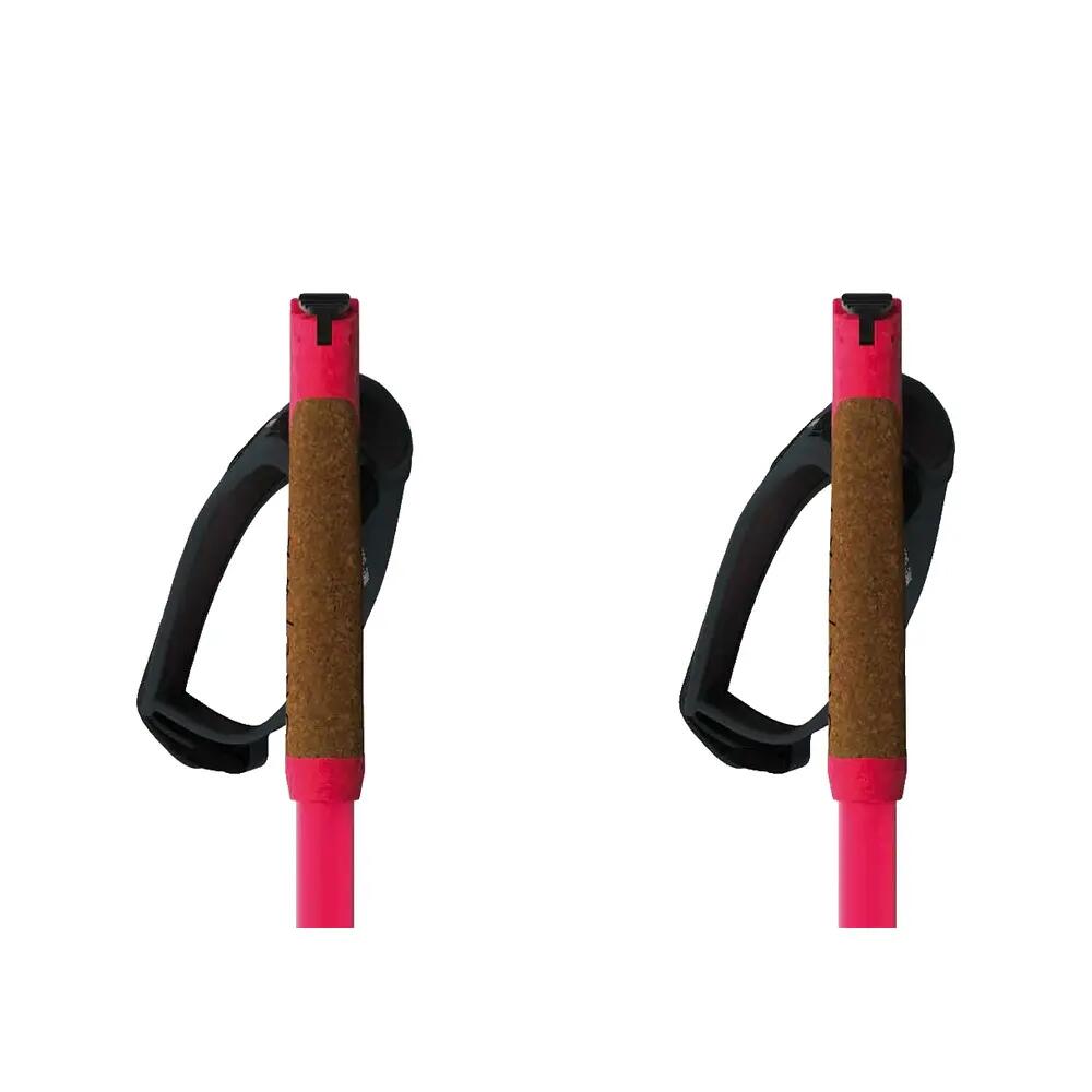 Fischer Storm GTX S Ski Poles 5/6
