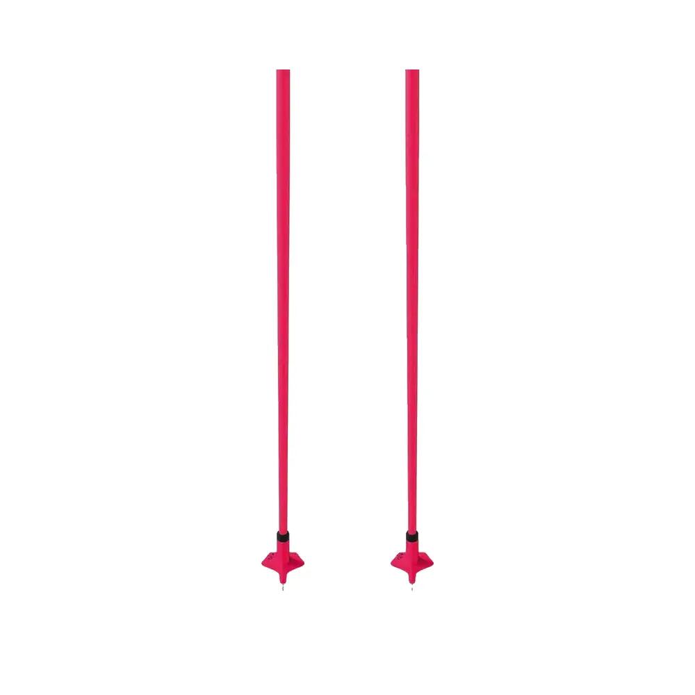 Fischer Storm GTX S Ski Poles 4/6