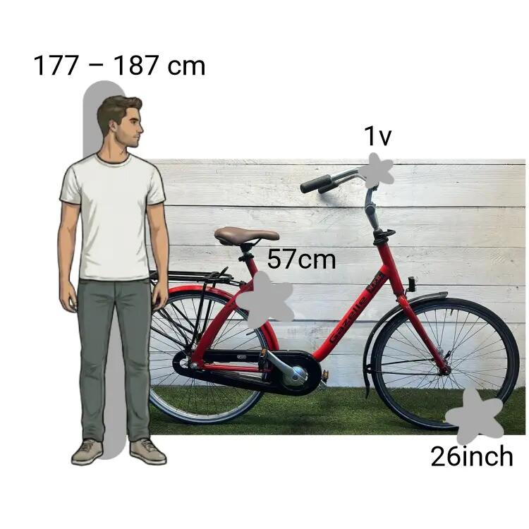 Tweedehands Gazelle M.P.B 2/4