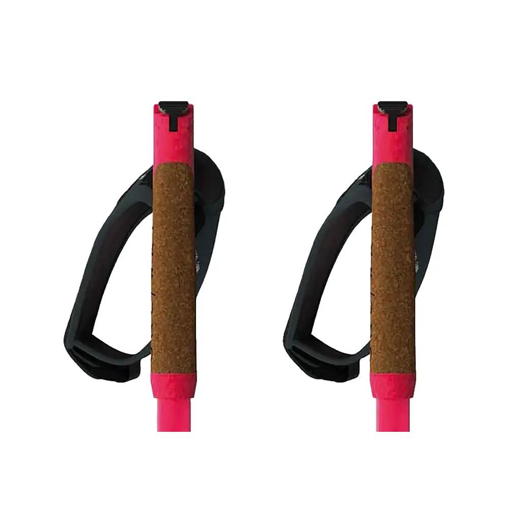 Bâtons de ski Fischer Storm GTX 5/6