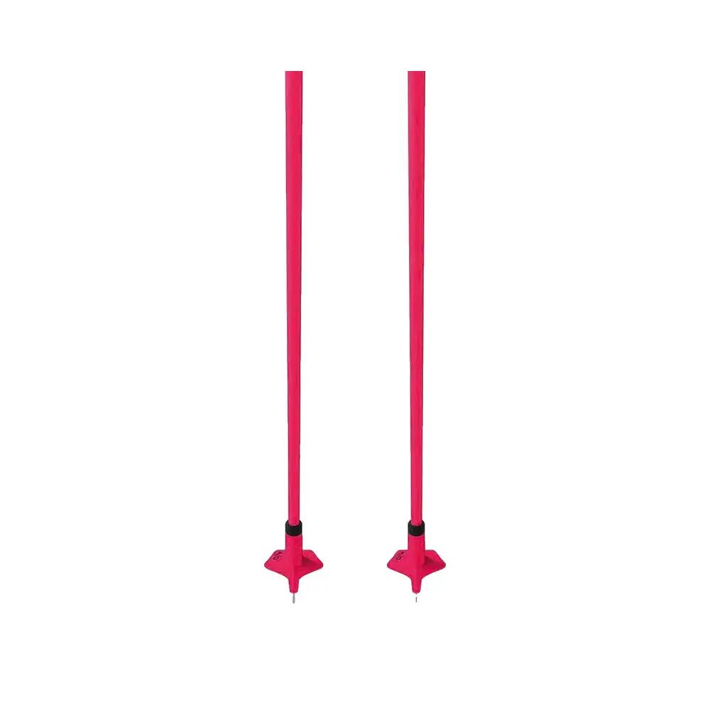 Bâtons de ski Fischer Storm GTX 4/6