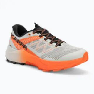 SCARPA picture