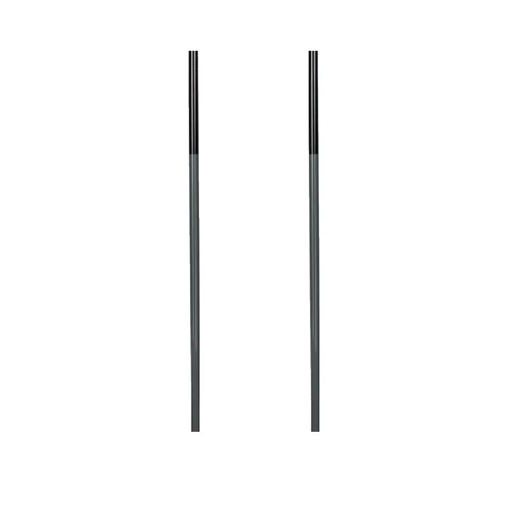 Skistok Rossignol Force 3 Zilver 3/5