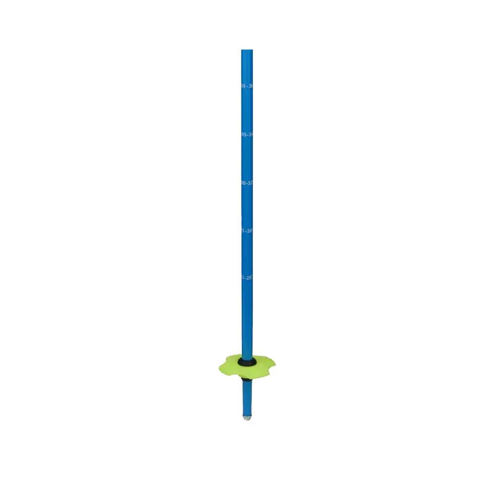 Bastoni da sci Rossignol Telescopici Junior Multicolore 9/9