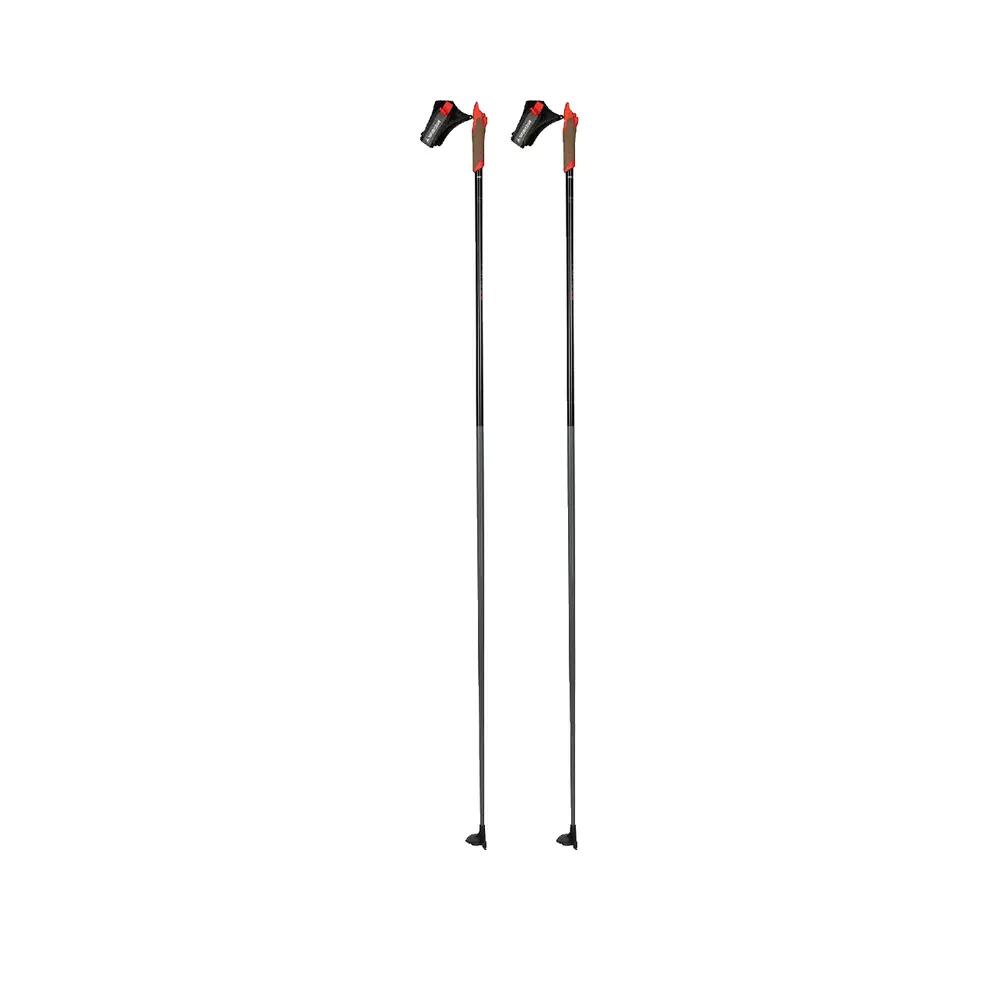 Skistok Rossignol Force 3 Zilver 2/5