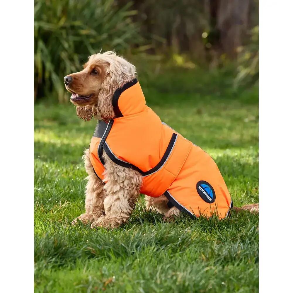 Hondenjas Weatherbeeta Comfitec Reflective Deluxe 300D 2/5