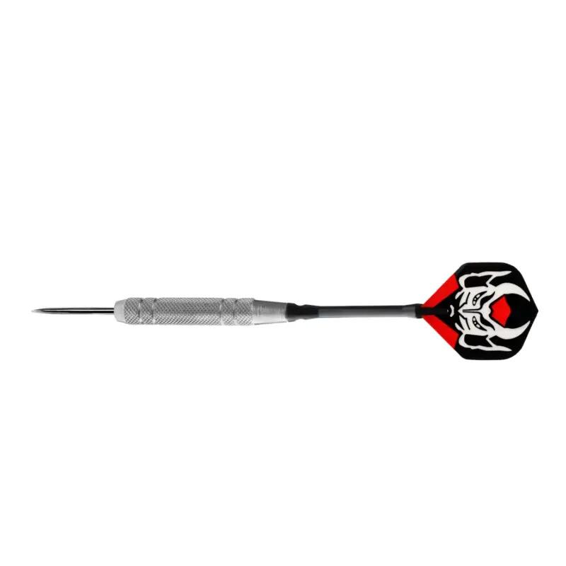 Karella Steeldarts in Dose 24 Stk. 5/6
