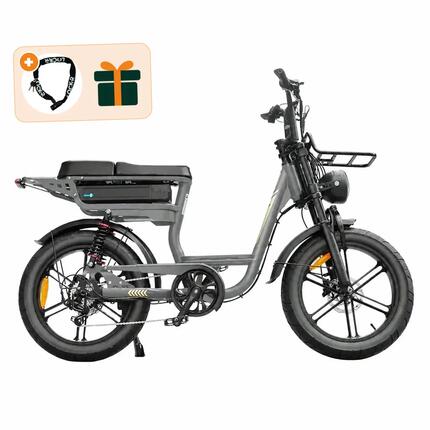 V20 Comfort - Fatbike électrique - 20 pouces - 250W - 720Wh - Gris
