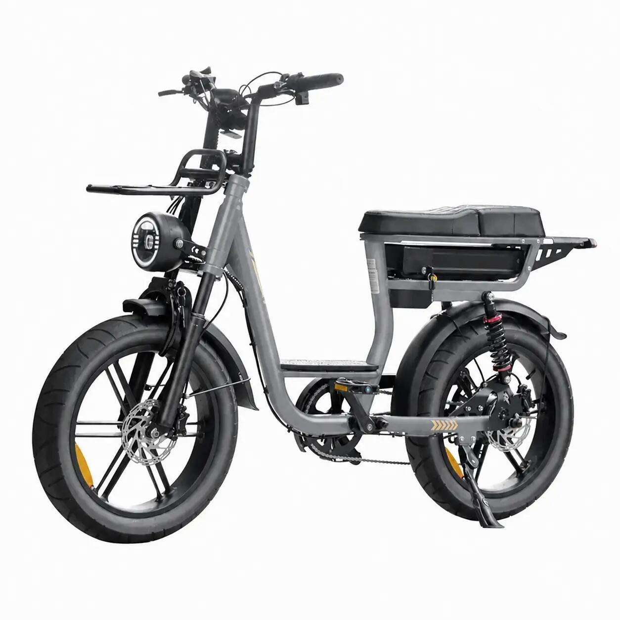V20 Comfort - Electric fat bike - 20 inch - 250W - 720Wh - Grey 2/3