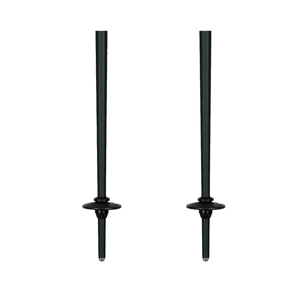 Women's ski poles Elan Speed 6/7
