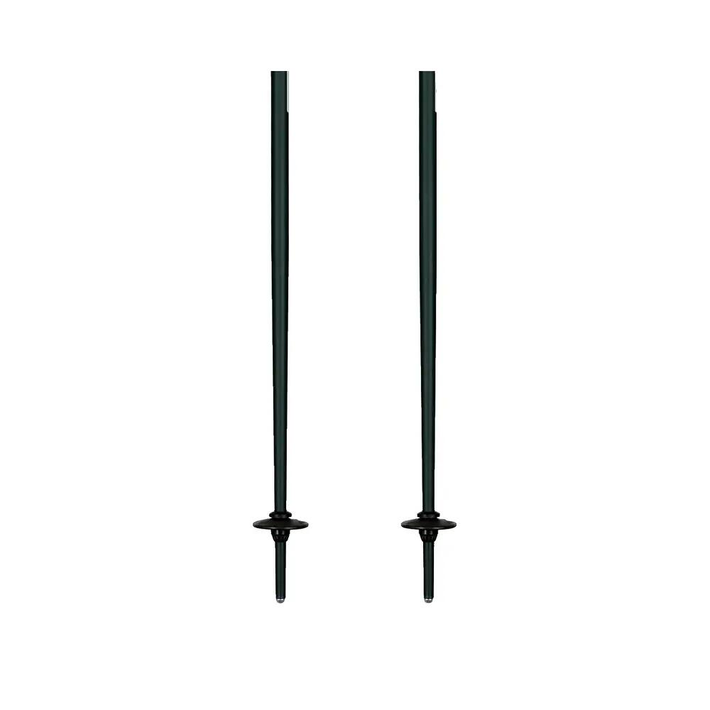 Women's ski poles Elan Speed 4/7