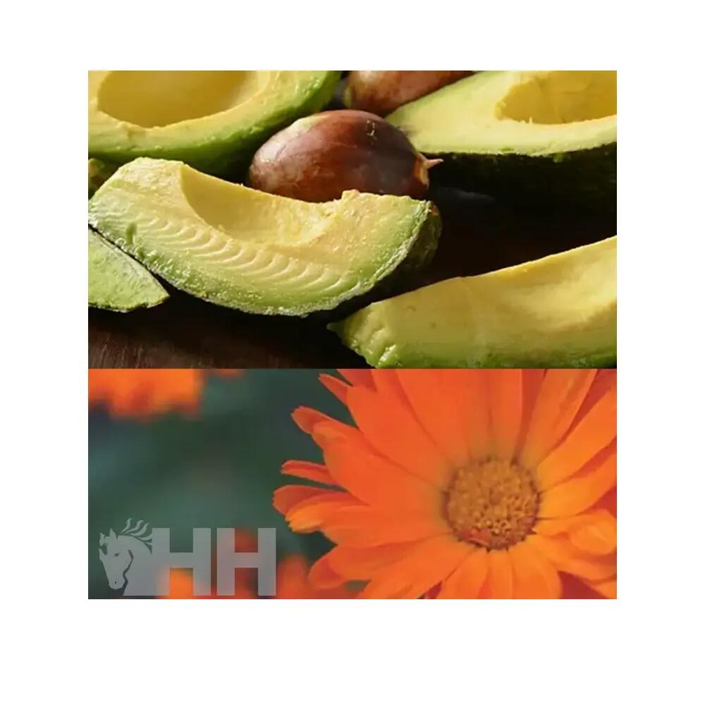 Leovet Hoofcare Oil Kleurloos - 3/4