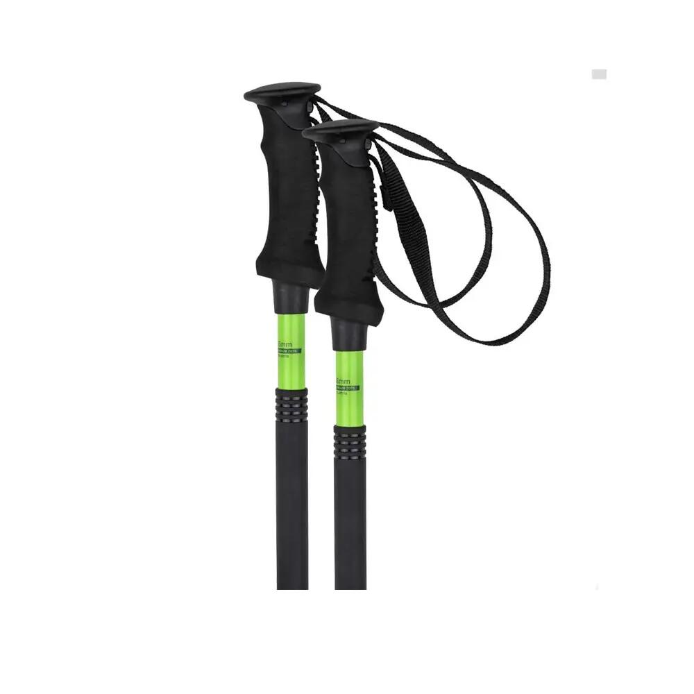 Ski stokken Elan Tour Alu Rod Vert 8/9