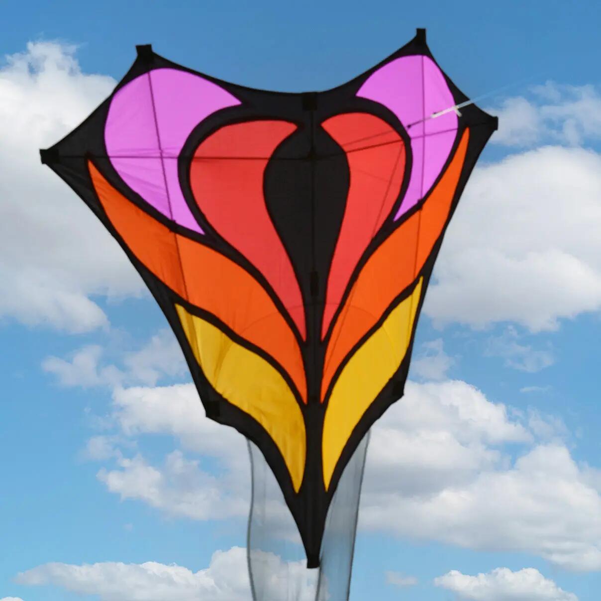 Eenlijnsvlieger Spiderkites Brasington Between the lines #4 030090-4 80 x 100 cm 3/4
