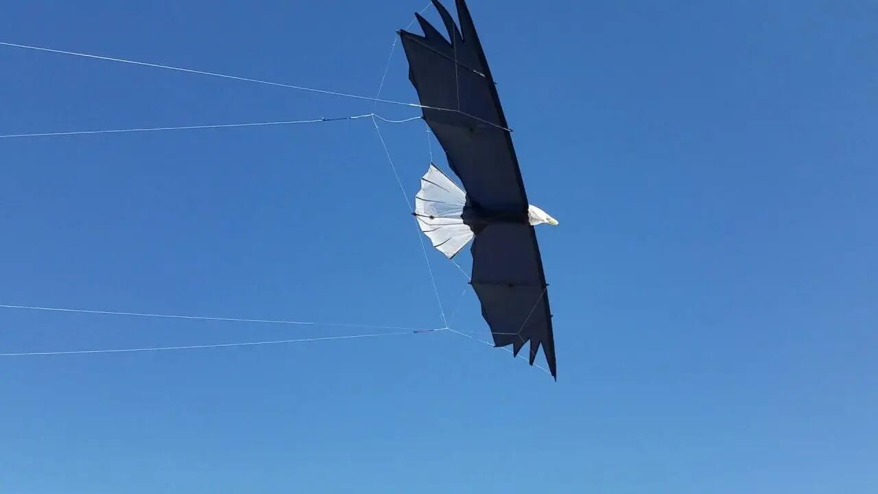 Pipa Acrobática Revolution Eagle VSRV00401 Preta 244 x 81 cm 10/10