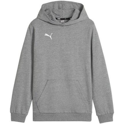 Bluza dla dzieci Puma Team Goal Casuals Hoddy