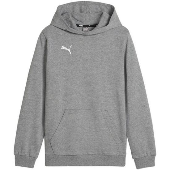 Bluza dla dzieci Puma Team Goal Casuals Hoddy