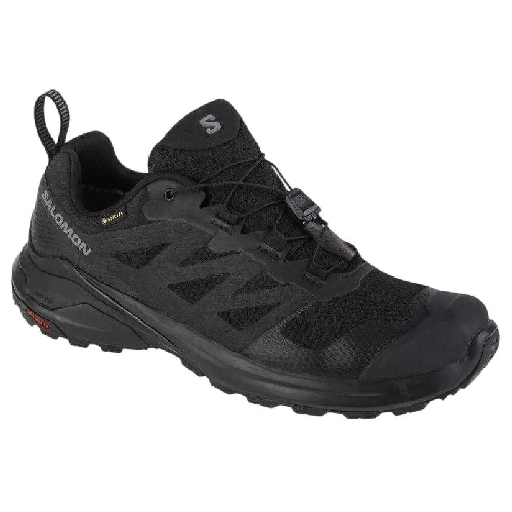 SALOMON picture