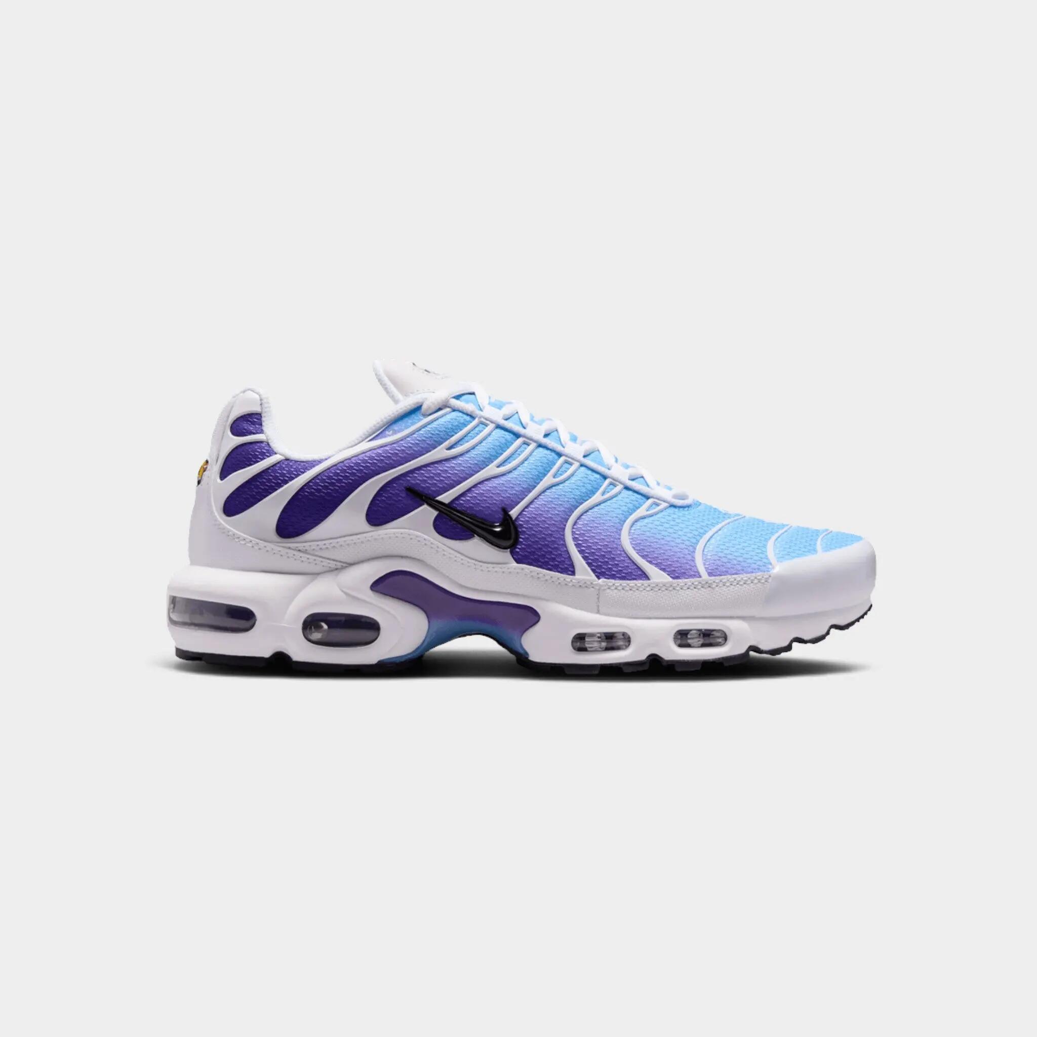 Nike Air Max Plus White Gradient Blue 1/2