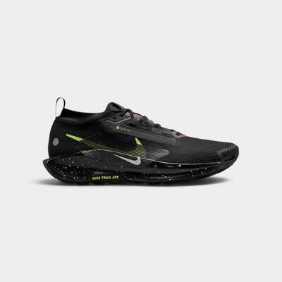 Nike Pegasus Trail 5 GORE-TEX (Men)